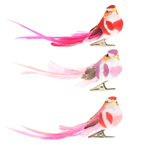 Floristik24 Pássaro no clipe rosa, rosa 15cm 12pcs