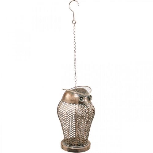 Floristik24 Lanterna Vintage Coruja Lanterna de Jardim Porta-velas Dourado A 29cm