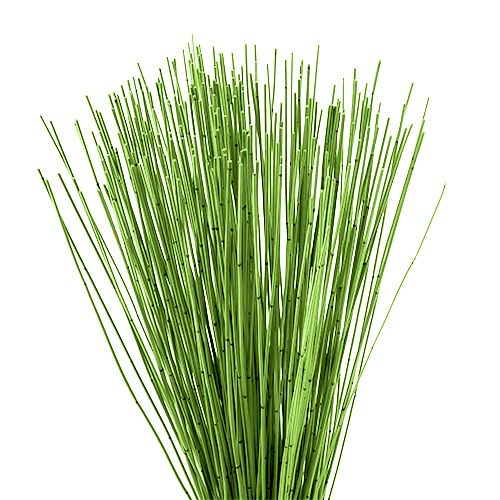 Floristik24 Vlei Reed 400g verde claro