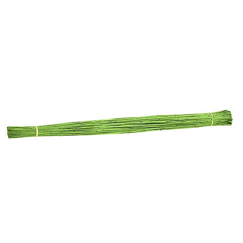 Floristik24 Vlei Reed 400g verde claro