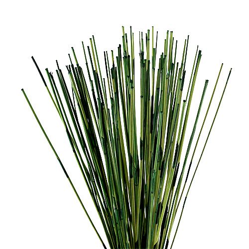 Floristik24 Vlei Reed 400g verde escuro