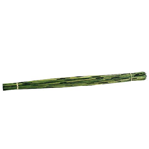 Floristik24 Vlei Reed 400g verde escuro