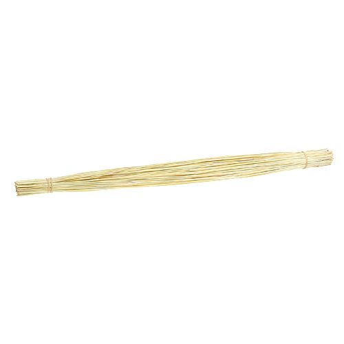 Floristik24 Vlei Reed 400g branqueado