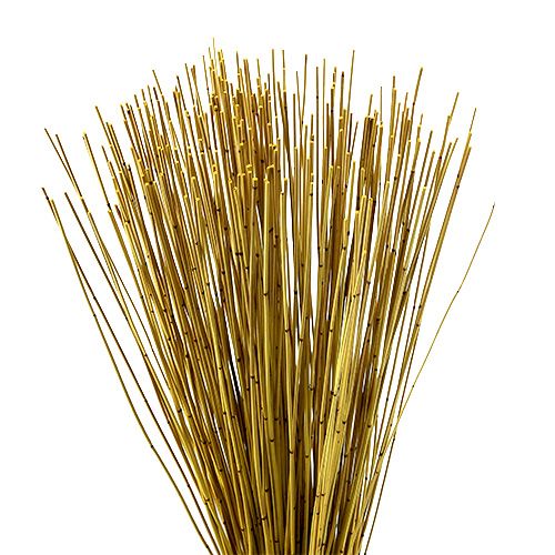 Floristik24 Vlei Reed 400g amarelo