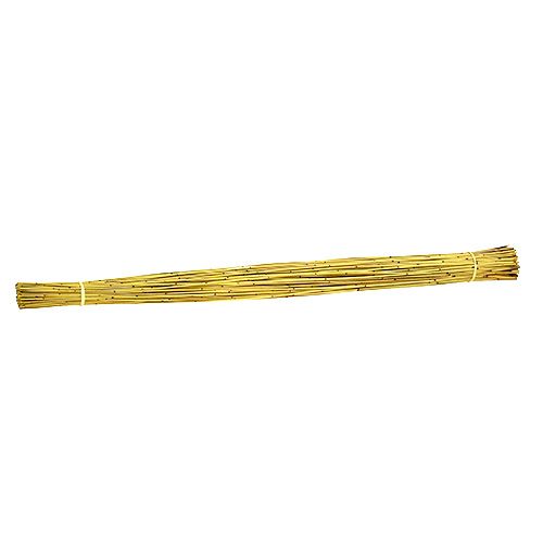 Floristik24 Vlei Reed 400g amarelo