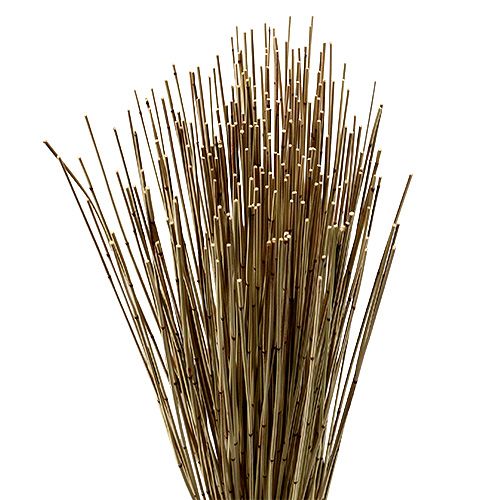 Floristik24 Vlei Reed 400g natural