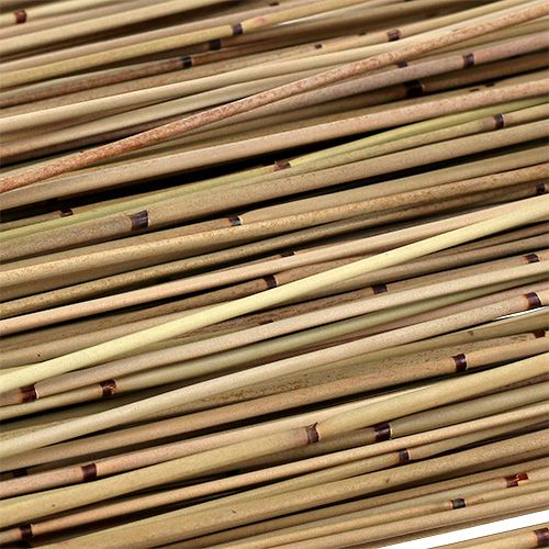Itens Vlei Reed 400g natural