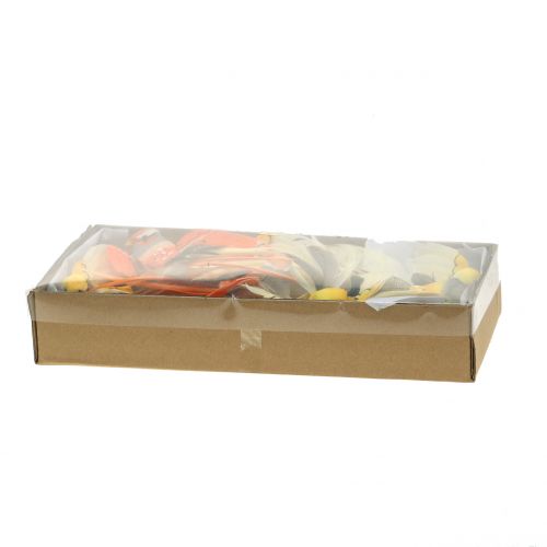 Floristik24 Pássaro no fio marrom / laranja 14cm 12pcs
