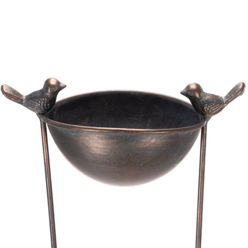 Floristik24 Bebedouro decorativo para pássaros, floreira com treliça, visual nostálgico, elegante acessório para jardim, 75 cm