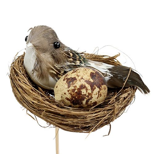 Floristik24 Ninho de pássaro em palito Ø7cm C24cm 6pcs