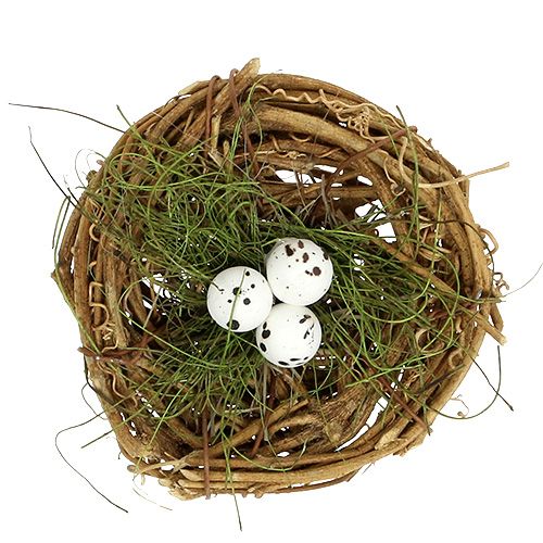 Floristik24 Ninho de pássaro com ovos Ø9cm 6pcs