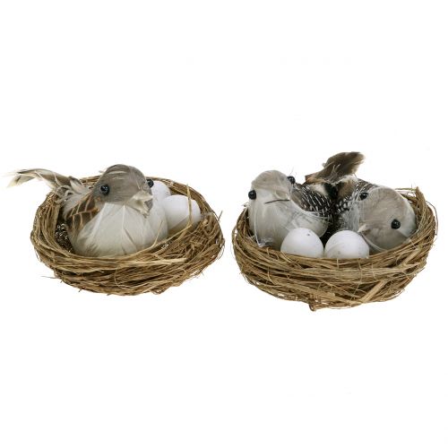 Floristik24 Ninho de pássaro com ovos e pássaros 6pcs