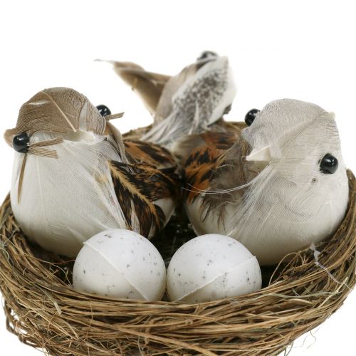 Itens Ninho de pássaro com ovos e pássaros 6pcs