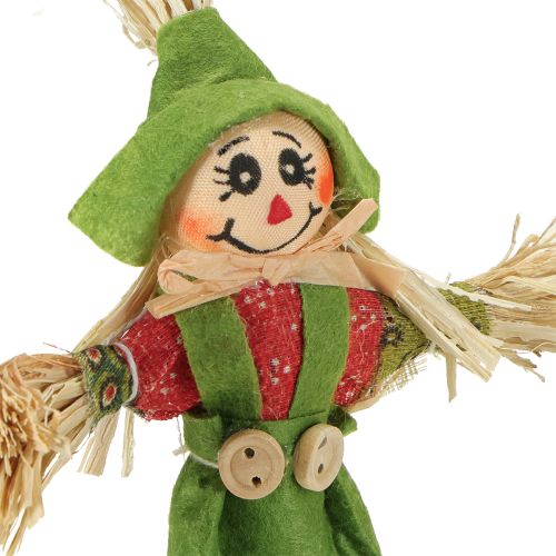 Itens Estacas de flores de espantalho verde laranja H16cm 16 peças