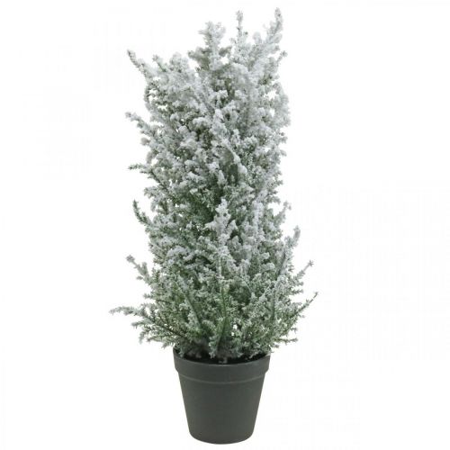 Floristik24 Zimbro artificial em vaso planta artificial nevada H47cm