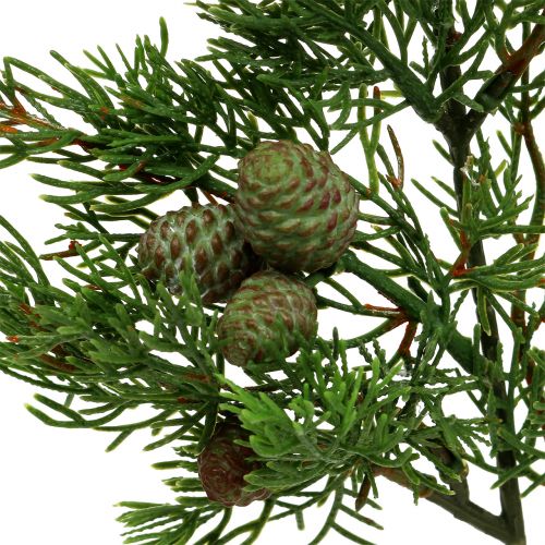Floristik24 Ramo de zimbro com cones verdes 39cm 3 unidades