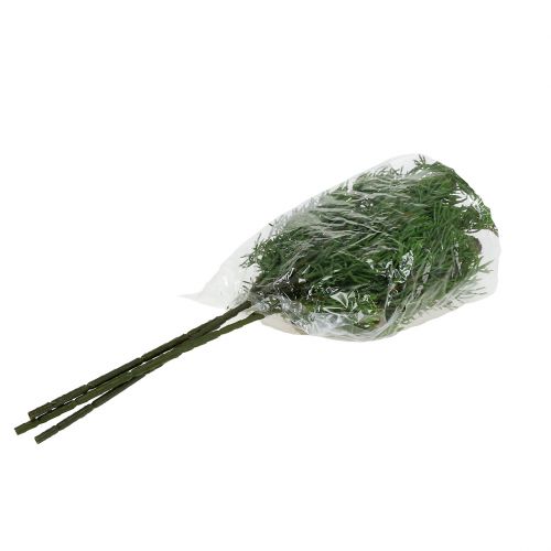 Floristik24 Ramo de zimbro com cones verdes 39cm 3 unidades