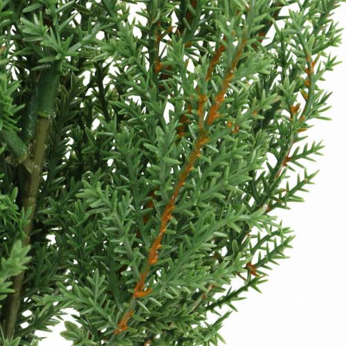 Floristik24 Ramo de zimbro artificial verde decorativo de Natal 39 cm 6 unidades