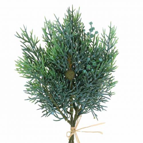 Floristik24 Deco ramo zimbro com cones verde, azul lavado 25cm 2pcs