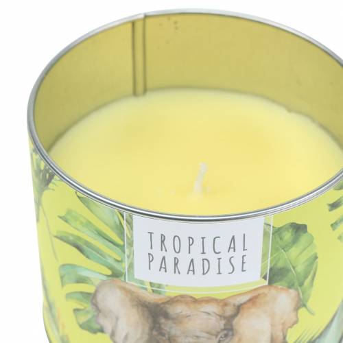 Floristik24 Vela perfumada na caixa floresta tropical amarelo Ø9,5cm A8cm