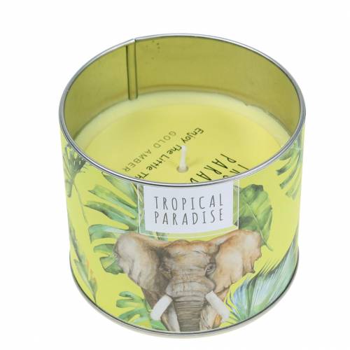 Floristik24 Vela perfumada na caixa floresta tropical amarelo Ø9,5cm A8cm