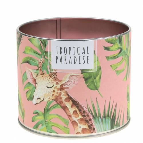 Floristik24 Vela perfumada na lata da floresta tropical rosa Ø9,5cm A8cm