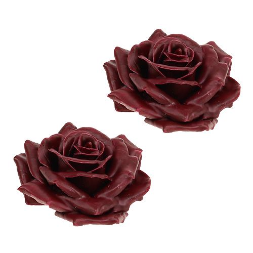 Floristik24 Cera rosa vermelho escuro Ø10cm 6 unidades