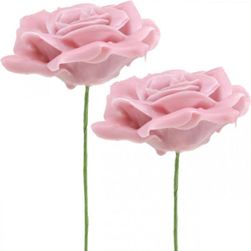 Floristik24 Cera rosas rosas deco cera rosa Ø8cm 12p