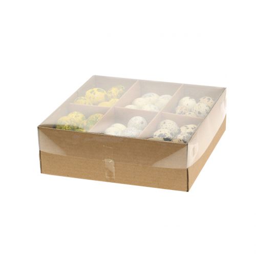 Floristik24 Sortido de ovos de codorna amarelo natural 3cm 62uds