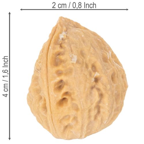 Nozes para decoração, produto natural, 3-4 cm, 300 g | Floristik24.pt