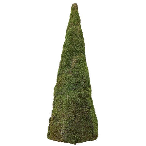 Itens Árvore de natal decoração de árvore de musgo em verde natural Ø25cm Alt.70cm