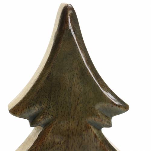 Floristik24 Madeira de abeto vitrificada natural, madeira de manga branca H29cm
