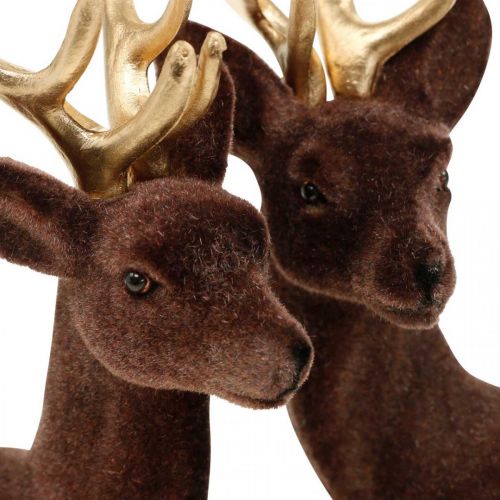 Floristik24 Decoração de Natal cervo decorativo para suporte marrom, dourado 20 cm 2 unidades