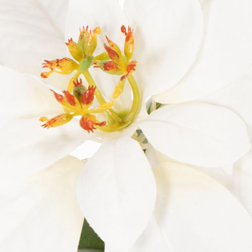 Poinsétia artificial branca, flor grande, planta decorativa, 40 cm | Floristik24.pt