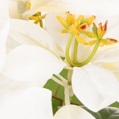 Poinsétia artificial branca, flor grande, planta decorativa, 40 cm | Floristik24.pt