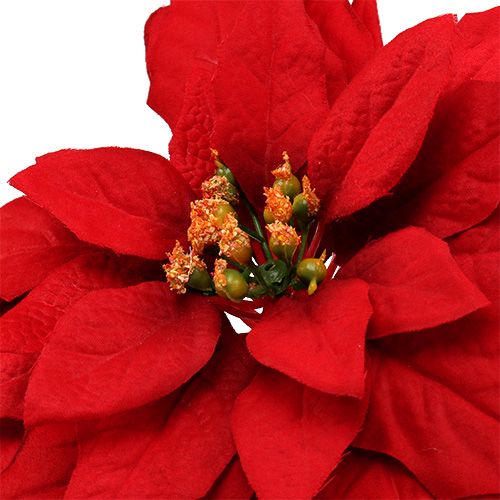 Itens Poinsettia red 57cm 1p