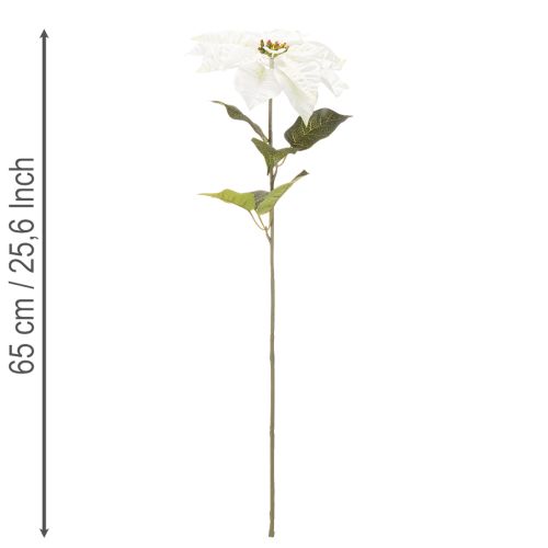 Poinsétia artificial branca, galho grande florido para decoração, 65 cm, 2 peças | Floristik24.pt