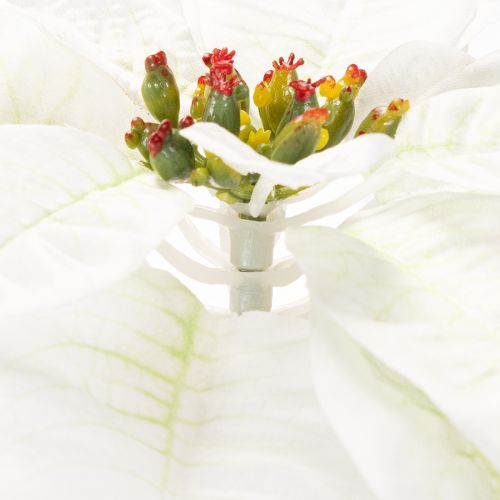 Poinsétia artificial branca, galho grande florido para decoração, 65 cm, 2 peças | Floristik24.pt
