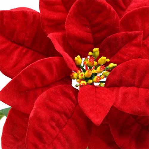 Floristik24 Poinsétia flor artificial vermelha 67cm