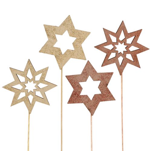 Floristik24 Plugues de flor de poinsétia bronze ouro Ø5,5cm 18 un