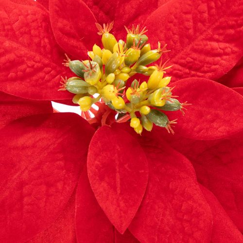 Decoração artificial de poinsétia vermelha com haste única de 82 cm | Floristik24.pt