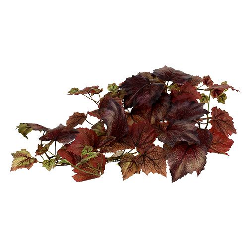 Floristik24 Guirlanda de Vinha Vermelho Escuro 190cm