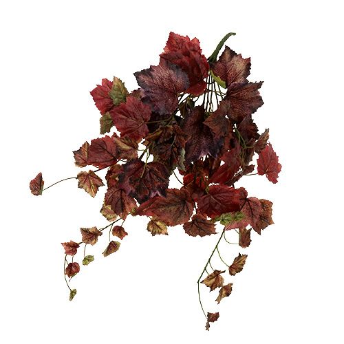 Floristik24 Folhas de videira verde cabide, bordeaux 67 cm