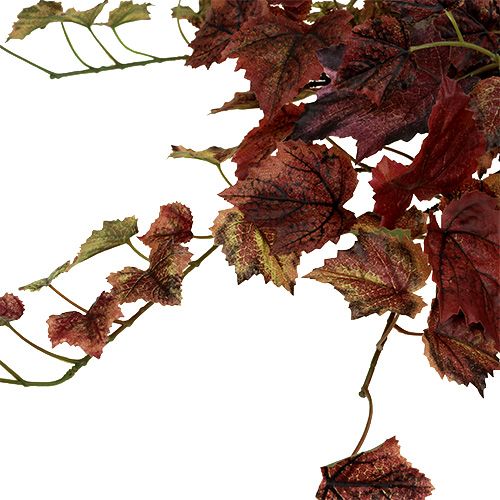 Floristik24 Folhas de videira verde cabide, bordeaux 67 cm
