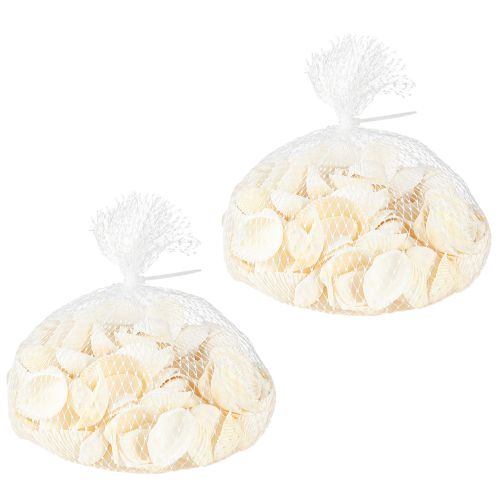 Floristik24 Conchas Brancas Berbigões Decorativos 2-3,5cm 300g × 2 unidades