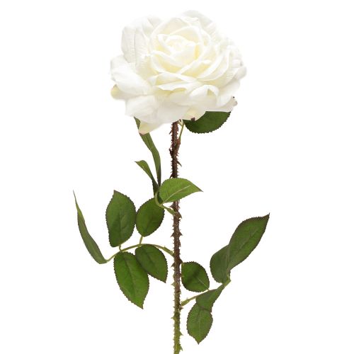 Floristik24 Rosa Branca Falsa Rosa em Caule Flor de Seda Falsa Rosa L72cm Ø13cm