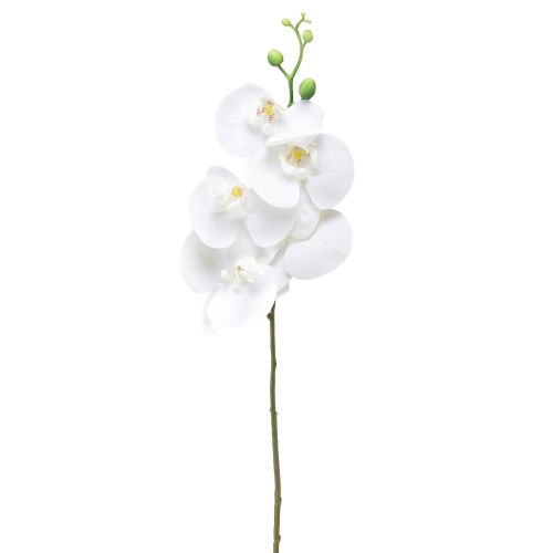 Orquídea Artificial Branca Phalaenopsis Real Touch 85cm