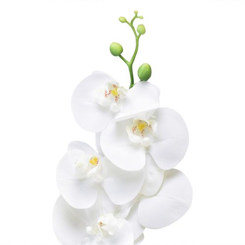 Itens Orquídea Artificial Branca Phalaenopsis Real Touch 85cm