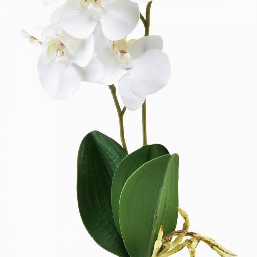 Itens Orquídea Branca em Picareta Phalaenopsis Artificial Real Touch 39cm