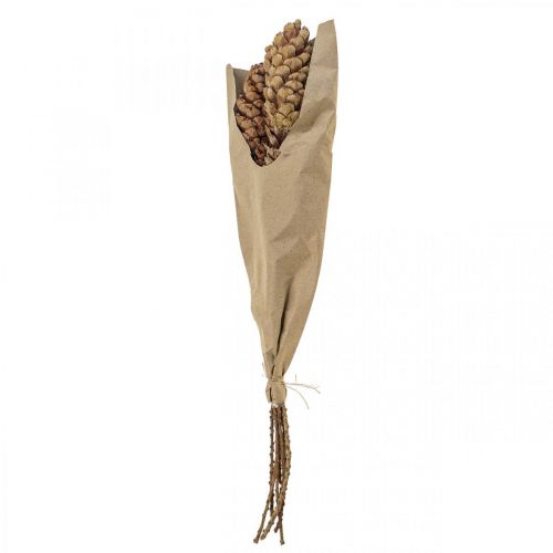 Floristik24 Pinhas brancas pinhas Alt.70cm cacho de 7 unidades